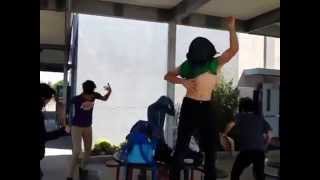 Harlem Shake Martha Baldwin Style