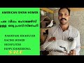 VARIETY HOMERS |ചെറിയ സ്ഥലത്തു  അടിപൊളി ഹോമേഴ്‌സ് |HIPPY CHINESEOWL HUNGARIAN MIX PIGEONS|SALE