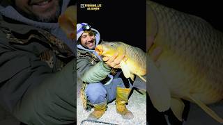#fishing #carpfishing #балык #charvak #uzbekistan