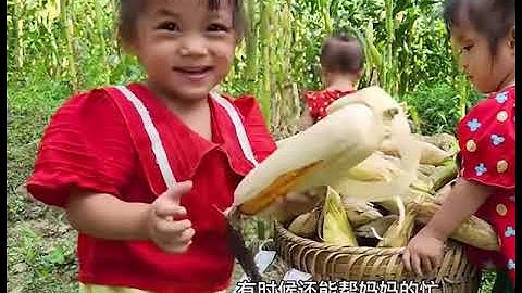 这个越南女人带着三个孩子到河里捞鱼 #越南纪录片解说 #越南生活 #越南单亲妈妈
