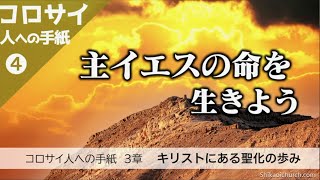 80年代 ビンテージ 旧約聖書 キリスト コロサイ人への手紙 3章 13-14節