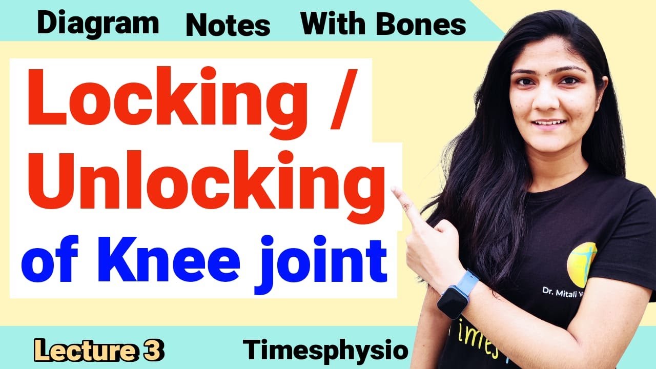 Locking Unlocking Of Knee Joint Lecture 3 I BPT MPT I By Dr locking-unlocking-of-knee-joint-lecture-3-i-bpt-mpt-i-by-dr
