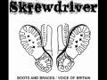 Skrewdriver - Back With a Bang