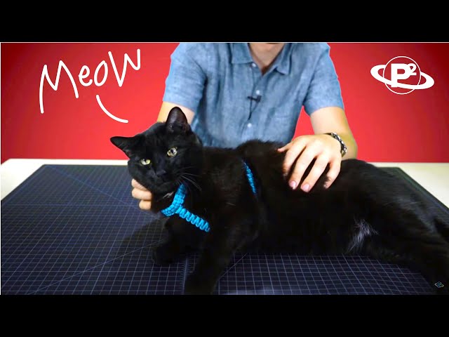 Make a Cat Harness out of Paracord - YouTube diy-dog-harness-adjustable-cat-pattern-dog-accessories-choke-free-vest-cat-harness-digital-sewing-pattern-tutorial-pdf-template-for-dog-pet-etsy