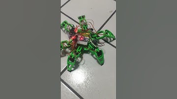 Hexapod Robot, first walking attempt