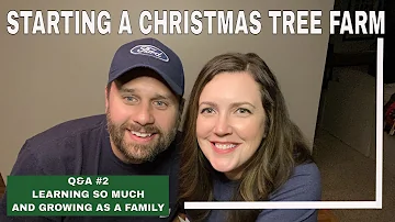 STARTING A CHRISTMAS TREE FARM | Q&A 2 | mistakes and what we’ve learned so far