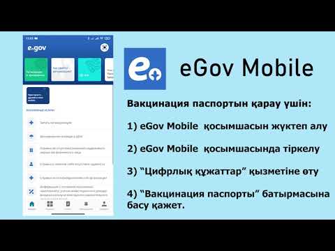 Бейне: Мәміленің паспортын қалай толтыруға болады