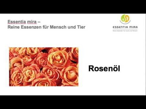 Video: Krimrose - Nützliche Eigenschaften Und Anwendung Der Rose. Rosenöl, ätherisches Rosenöl