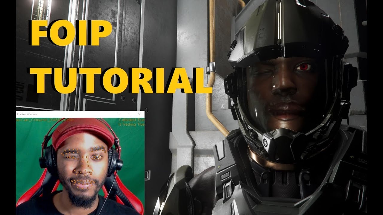 Face Over IP/ FOIP Tutorial [Star Citizen  PTU] - YouTube