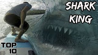 Top 10 Biggest Sharks In The World You Won't Believe