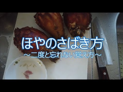 一度見れば二度と忘れないほやのさばき方 Youtube 一度見れば二度と忘れないほやのさばき方 Youtube