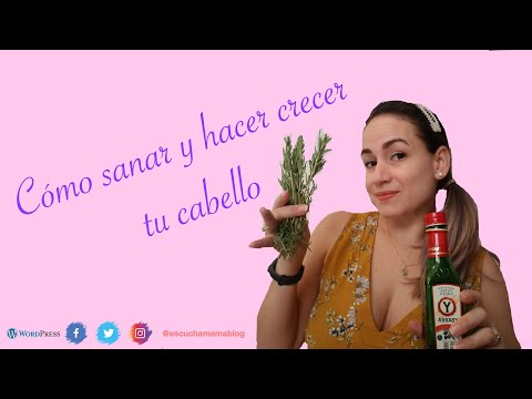 Romero con aceite de oliva para sanar y hacer crecer el cabello ¿Realmente funciona?