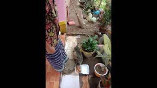 ini contoh sila ke 2 : kemanusiaan yang adil dan beradab