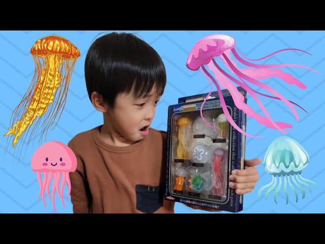 ☆。*海月の世界☆。* 立体海月図鑑☆ - YouTube