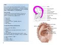 Anatomia Topografica Auricular Video 1