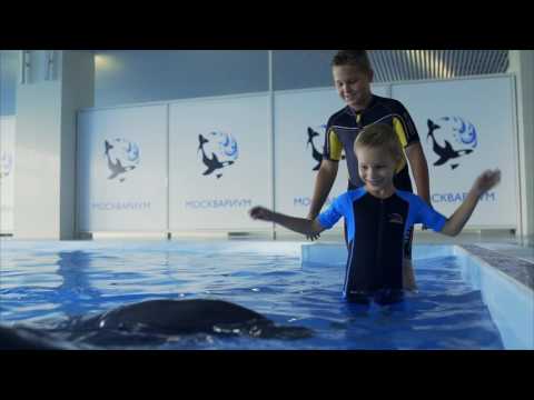 Москвариум.Центр плавания с дельфинами.