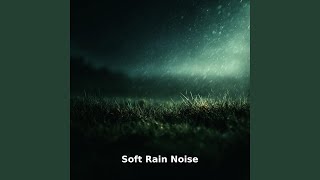 April Rain Storm, Pt.23