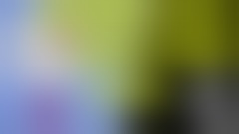 Video Plus: aprende a crear un examen o prueba para tus estudiantes Google Form