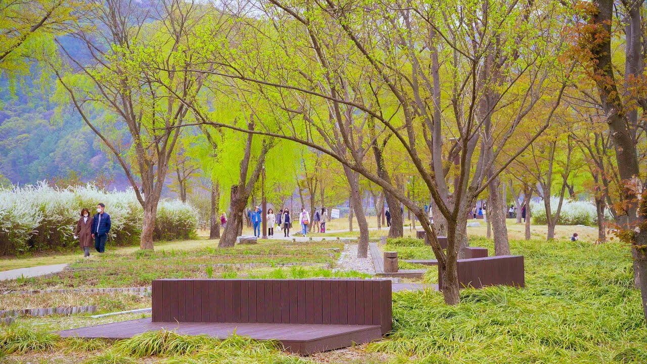 Namyangju Dasan Ecological Park - YouTube