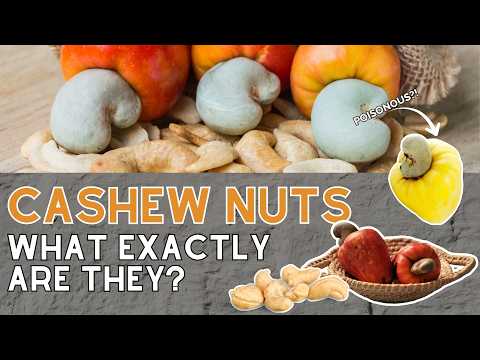 Why Cashews Can't Be Eaten Straight From the Tree