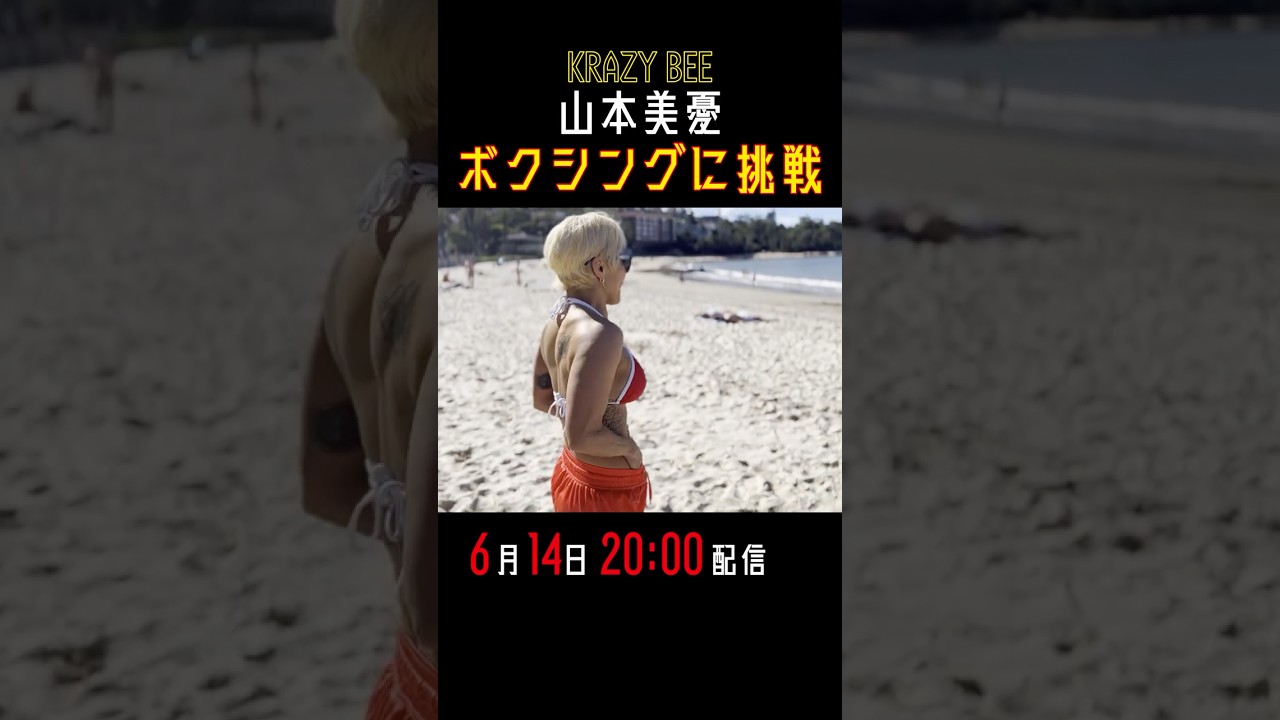 山本美憂プロボクシングデビュー❤️🔥 #ボクシング #mma #レスリング #wrestling #boxing