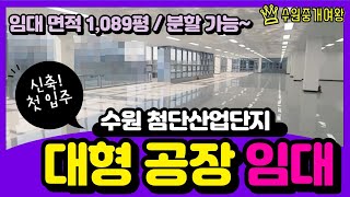 수원 공장 임대 - 고색동 첨단산업단지 신축 첫입주 대…