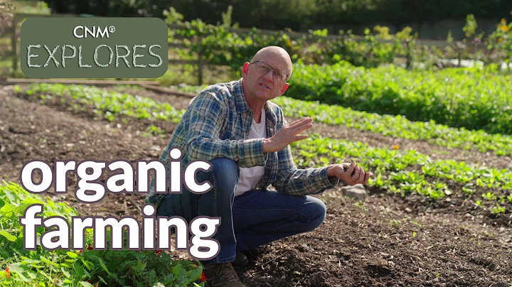 Organic Farming vs Conventional Farming - the benefits and differences of farming organically