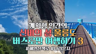 🚐버스만 타고 혼자 울릉도 여행 3편 - 도동케이블카/행남해안산책로(도동)/나리분지/천부해중전망대