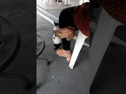 Pink Sandals High heel dirty shoe soles