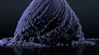 animation  050000