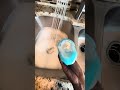 Is bleaching your cleaning bucket?