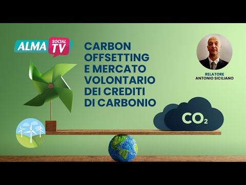 Video: Quali sono le due principali fonti di aggeggio atmosferico di carbonio?