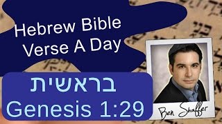 Is G-d Telling Us We Should Be Vegetarians? Genesis/Bereisheet 1:29