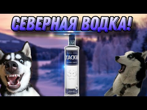 Обзор Водки Хаски Original! Северная Водка По Привлекательной Цене Из Дикси!