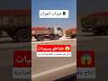 إنتاج وفير لمحصول الطماطم الصناعية في الجزائر