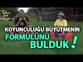 Koyunculuğu Büyütmenin Formülünü Bulduk! - Kuzu Fabrikası