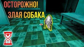 Прохождение Больницы с дружком | Eyes - The horror game