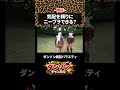気配だけを頼りにニーブラチャレンジ!!