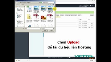 Hướng dẫn quản lý File Manager trên hệ thống Hosting Plesk