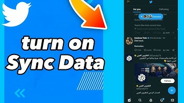 How To Turn On Sync Data On Twitter App