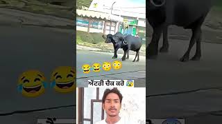 Karke Fly Pandori To