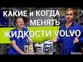 VOLVO – про ВСЕ МАСЛА, Тормозную жидкость, Антифриз, Фреон для Вольво О зап.частях с Vollux