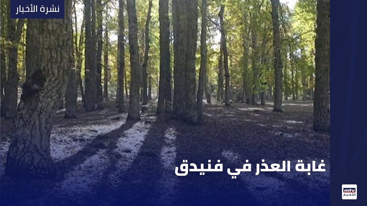 غابة العذر في فنيدق