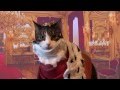 Cat plays Shakespeare &quot;King Lear&quot;