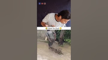 Try Not Laugh Challenge |6| 😂😂 #funny #reaction #shorts #comedy #trending