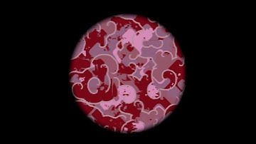 Cyclic Cellular Automata (Fisch 1990)  - Submission for Arsiliath