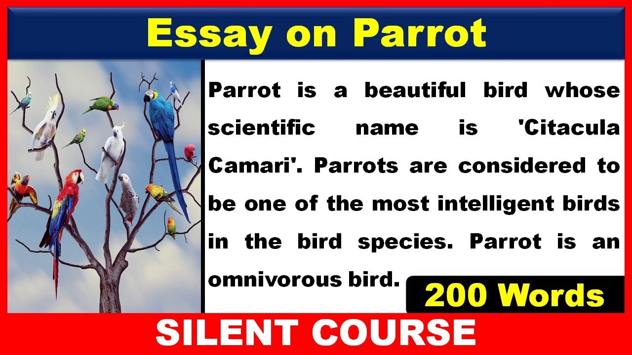 parrot essay in english 150 words