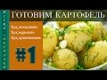 Как приготовить картофель. От и до!