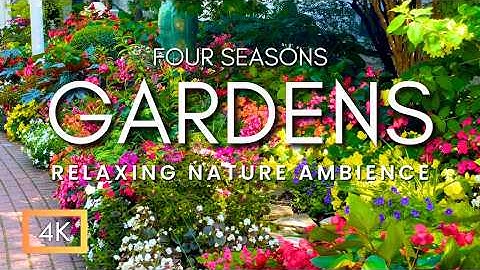 The Most Beautiful Island In The World | 8 Hour Mackinac Island Nature & Garden Tour Relaxing Music