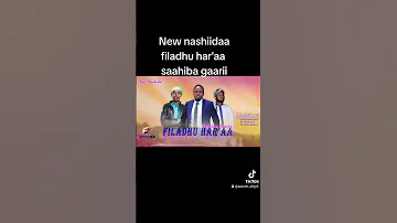 Nashiidaa Haaraya 